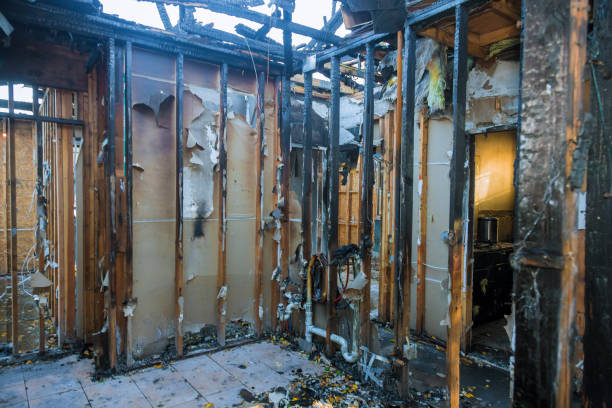 Professional Fire Damage Removal technician working in Edgewater, MD